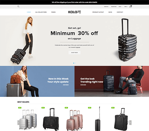 #25 - Luggage Store Demo