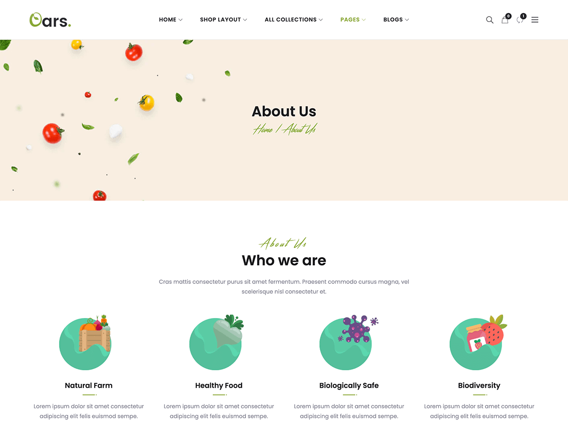 About Us