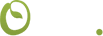 Oars