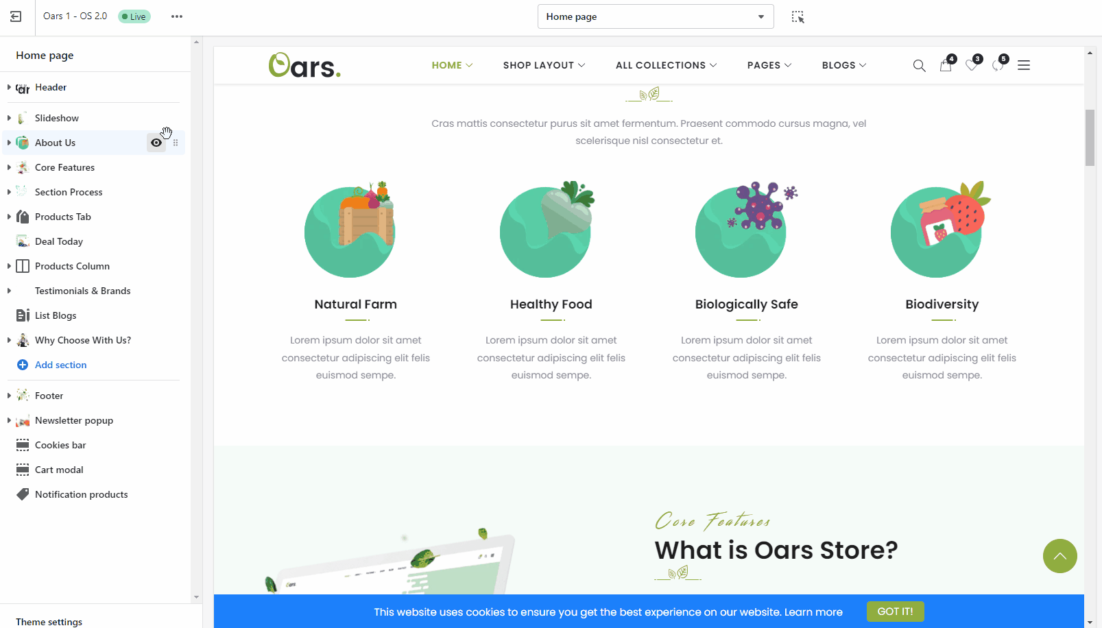 Shopify sections